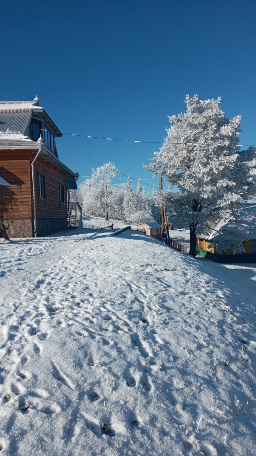 Gutsulska Oselya Vila Kryvopol'ye Exterior foto