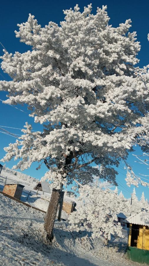 Gutsulska Oselya Vila Kryvopol'ye Exterior foto