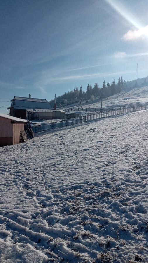 Gutsulska Oselya Vila Kryvopol'ye Exterior foto