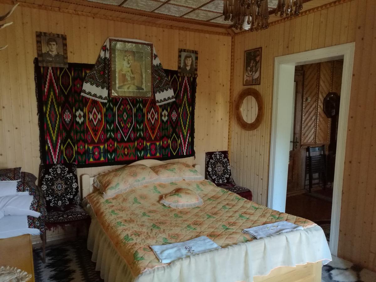 Gutsulska Oselya Vila Kryvopol'ye Exterior foto