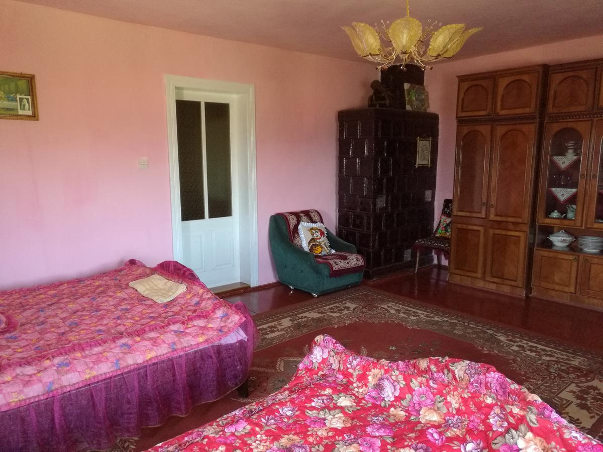 Gutsulska Oselya Vila Kryvopol'ye Exterior foto