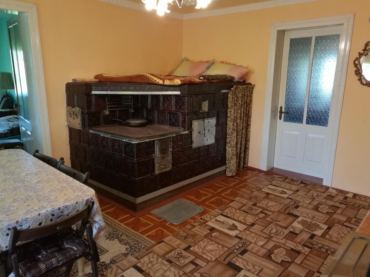 Gutsulska Oselya Vila Kryvopol'ye Exterior foto